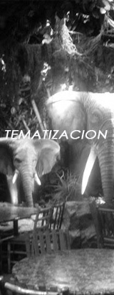 TEMETIZACION
